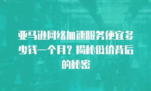 亚马逊网络加速服务便宜多少钱一个月？揭秘低价背后的秘密