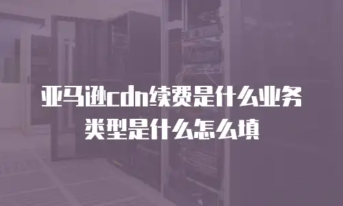 亚马逊cdn续费是什么业务类型是什么怎么填