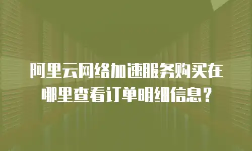 阿里云网络加速服务购买在哪里查看订单明细信息？