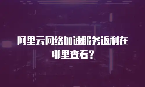 阿里云网络加速服务返利在哪里查看？