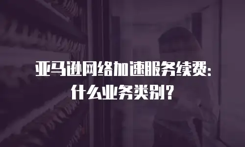 亚马逊网络加速服务续费：什么业务类别？