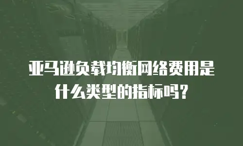 亚马逊负载均衡网络费用是什么类型的指标吗？