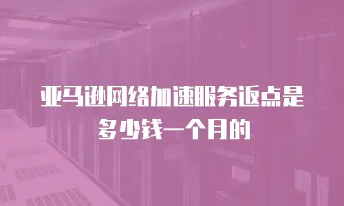 亚马逊网络加速服务返点是多少钱一个月的