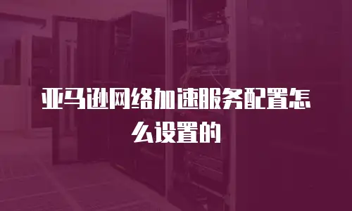 亚马逊网络加速服务配置怎么设置的