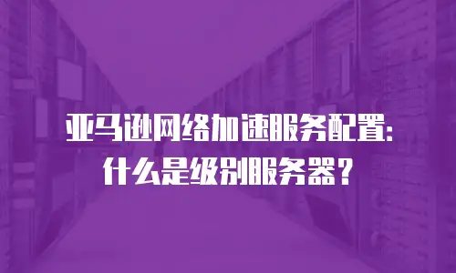 亚马逊网络加速服务配置：什么是级别服务器？