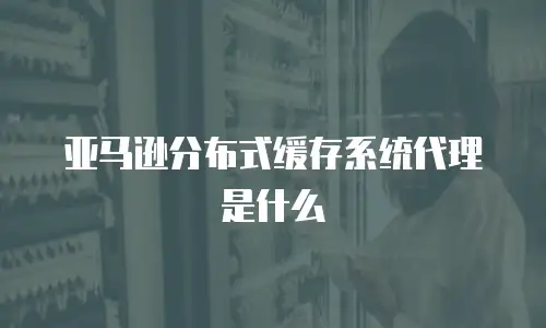亚马逊分布式缓存系统代理是什么