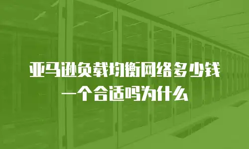 亚马逊负载均衡网络多少钱一个合适吗为什么