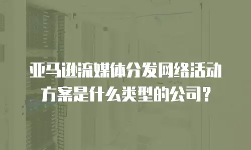 亚马逊流媒体分发网络活动方案是什么类型的公司？