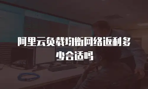 阿里云负载均衡网络返利多少合适吗