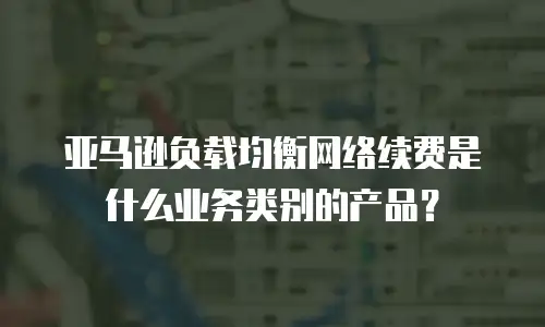 亚马逊负载均衡网络续费是什么业务类别的产品？