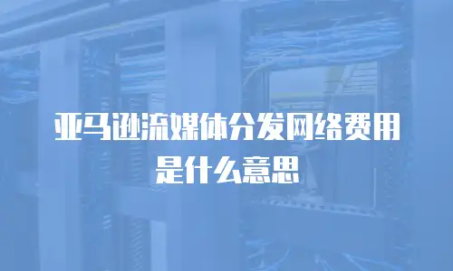 亚马逊流媒体分发网络费用是什么意思