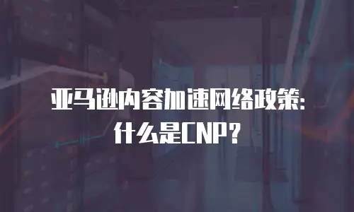 亚马逊内容加速网络政策：什么是CNP？