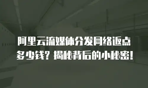 阿里云流媒体分发网络返点多少钱？揭秘背后的小秘密！