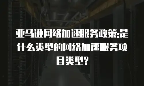 亚马逊网络加速服务政策:是什么类型的网络加速服务项目类型?