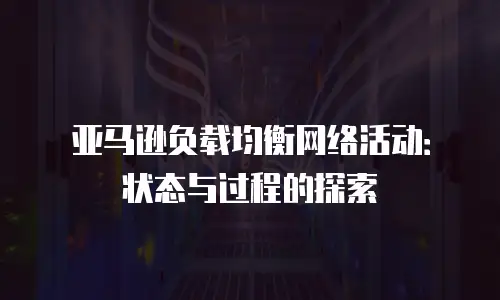 亚马逊负载均衡网络活动：状态与过程的探索