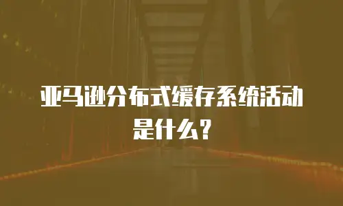 亚马逊分布式缓存系统活动是什么？