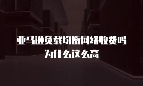 亚马逊负载均衡网络收费吗为什么这么高