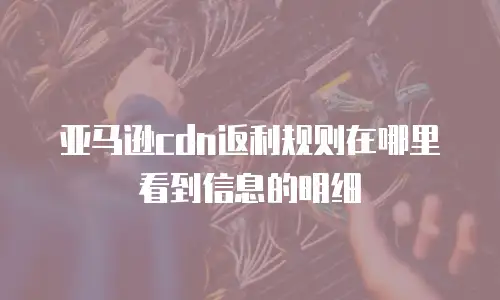 亚马逊cdn返利规则在哪里看到信息的明细