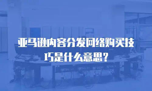 亚马逊内容分发网络购买技巧是什么意思？