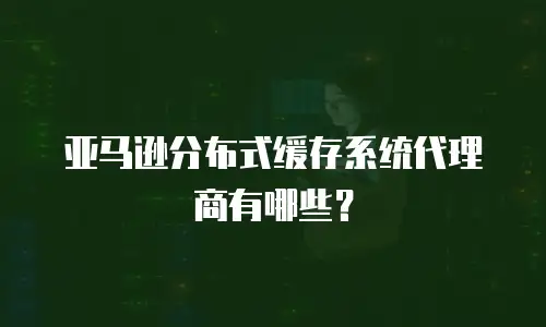 亚马逊分布式缓存系统代理商有哪些？