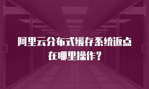 阿里云分布式缓存系统返点在哪里操作？