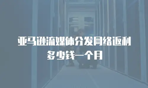 亚马逊流媒体分发网络返利多少钱一个月