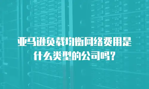 亚马逊负载均衡网络费用是什么类型的公司吗？