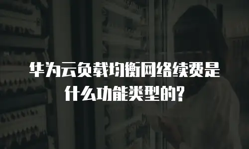 华为云负载均衡网络续费是什么功能类型的?