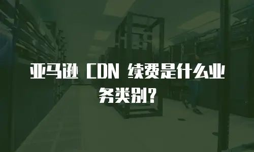 亚马逊 CDN 续费是什么业务类别？