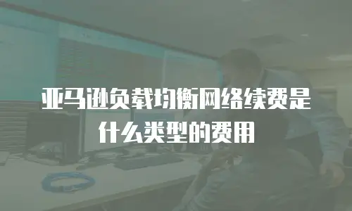 亚马逊负载均衡网络续费是什么类型的费用