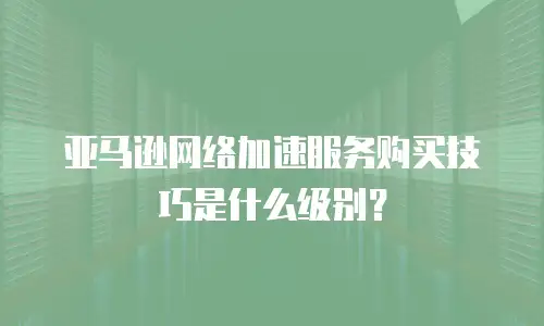 亚马逊网络加速服务购买技巧是什么级别？