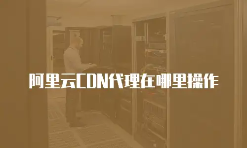 阿里云CDN代理在哪里操作