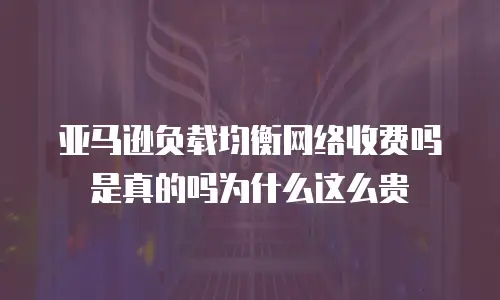 亚马逊负载均衡网络收费吗是真的吗为什么这么贵