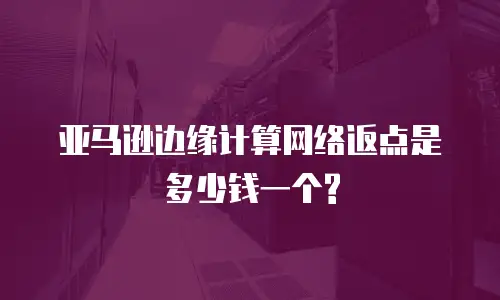 亚马逊边缘计算网络返点是多少钱一个?