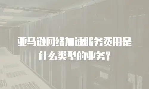 亚马逊网络加速服务费用是什么类型的业务?
