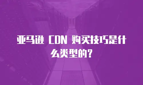 亚马逊 CDN 购买技巧是什么类型的？