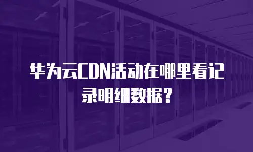 华为云CDN活动在哪里看记录明细数据？