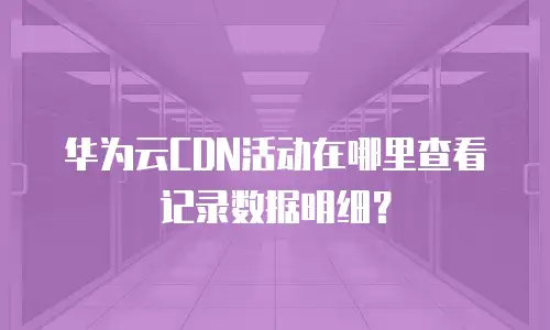 华为云CDN活动在哪里查看记录数据明细？