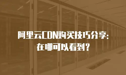阿里云CDN购买技巧分享: 在哪可以看到？