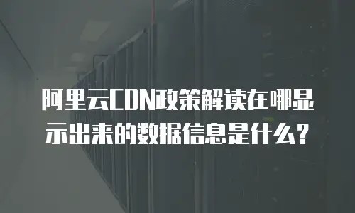 阿里云CDN政策解读在哪显示出来的数据信息是什么？