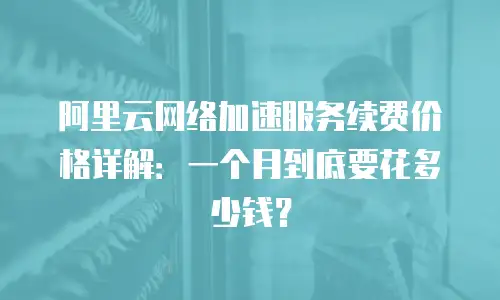 阿里云网络加速服务续费价格详解：一个月到底要花多少钱？