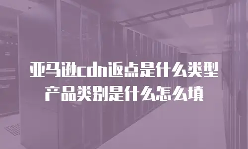 亚马逊cdn返点是什么类型产品类别是什么怎么填