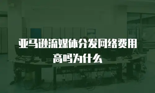 亚马逊流媒体分发网络费用高吗为什么