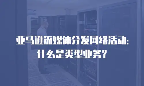 亚马逊流媒体分发网络活动：什么是类型业务？