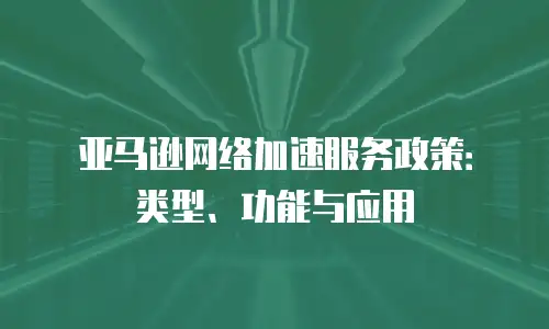 亚马逊网络加速服务政策：类型、功能与应用