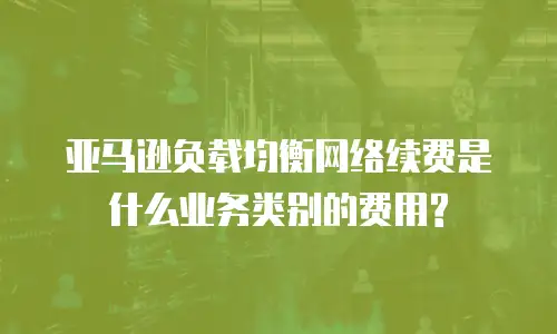 亚马逊负载均衡网络续费是什么业务类别的费用?