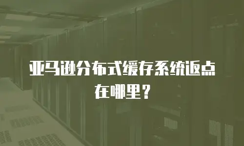 亚马逊分布式缓存系统返点在哪里？