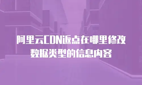 阿里云CDN返点在哪里修改数据类型的信息内容