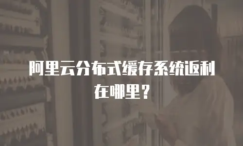  阿里云分布式缓存系统返利在哪里？ 