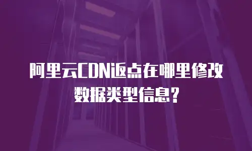 阿里云CDN返点在哪里修改数据类型信息?